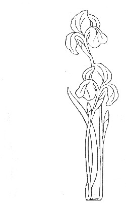 Iris design from The Master's Violin, 1904 (Myrtle Reed)