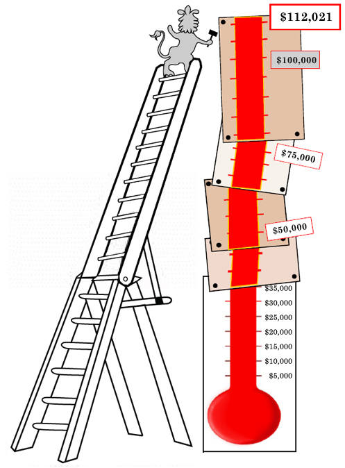 Thermometer kaufen