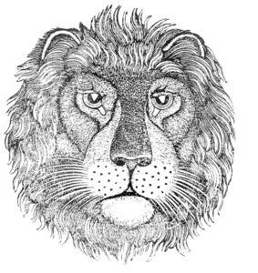 schiller lion